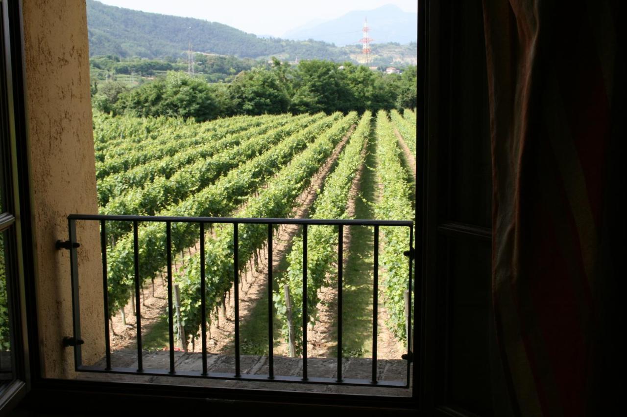 Agriturismo Ripa Del Bosco Capriolo 외부 사진