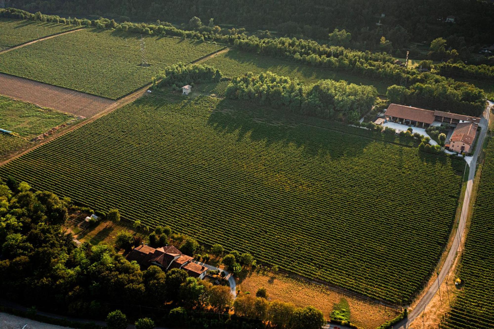 Agriturismo Ripa Del Bosco Capriolo 외부 사진