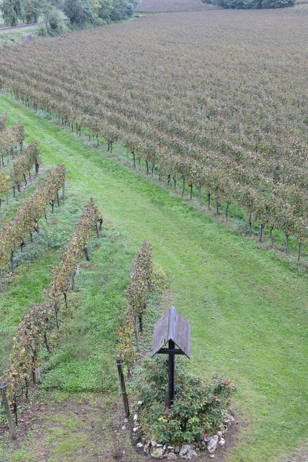 Agriturismo Ripa Del Bosco Capriolo 외부 사진