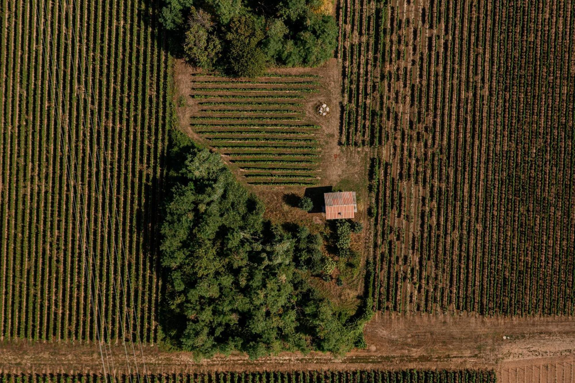 Agriturismo Ripa Del Bosco Capriolo 외부 사진